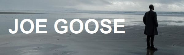 Joe Goose standing on the beach