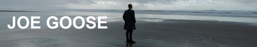 Joe Goose standing on the beach