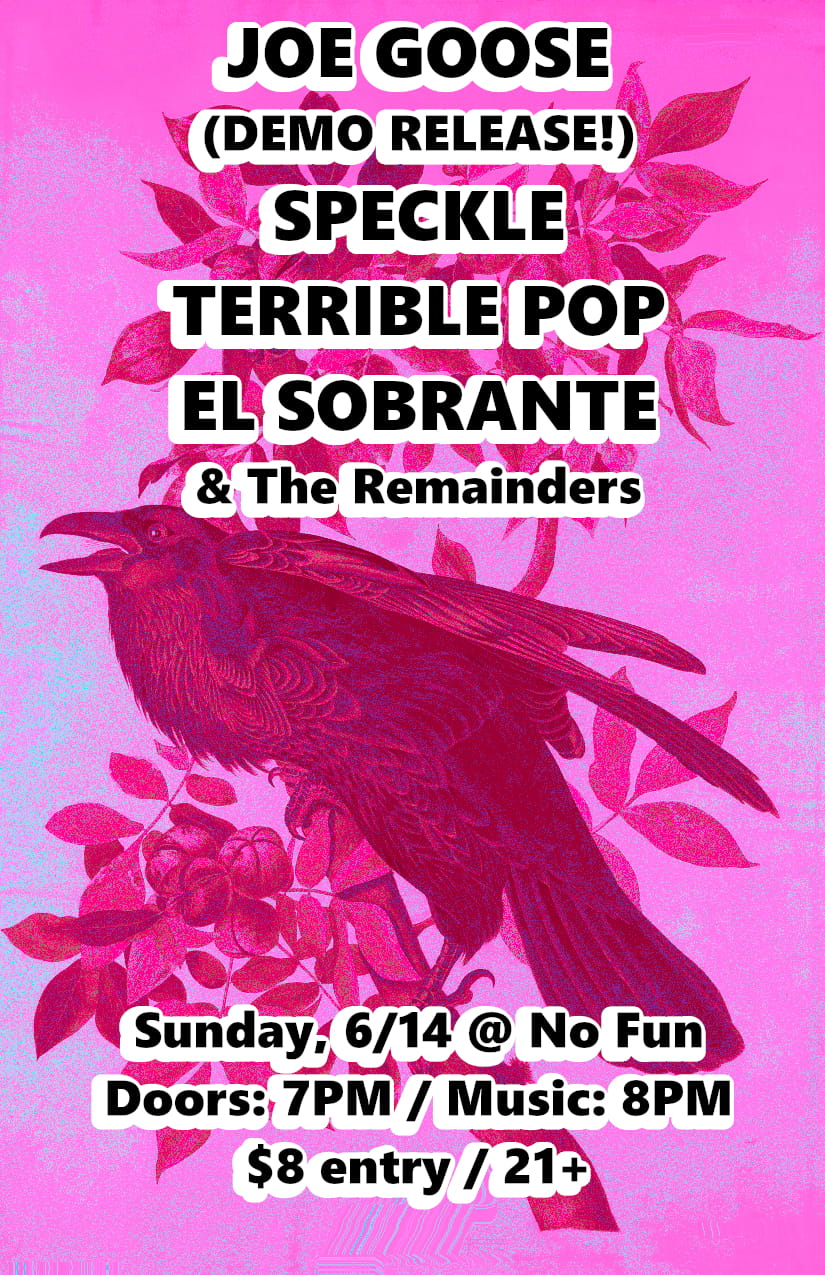 Concert Flyer
